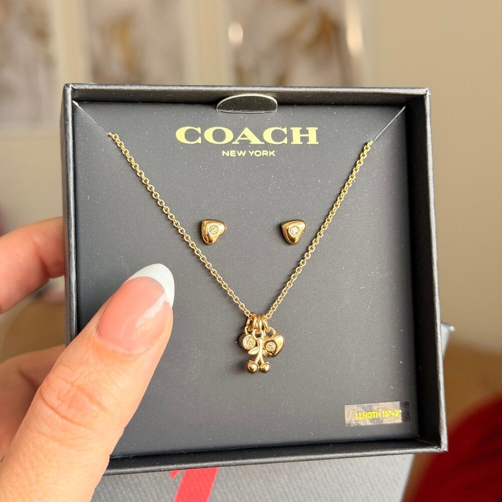 Jewelry set Coach necklace and earrings